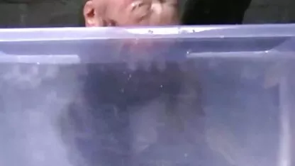 Nuditatea poze cu fete coale unui bărbat în cafeneaua de vară